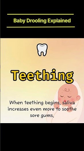 Why Do Babies Drool So Much? 💧