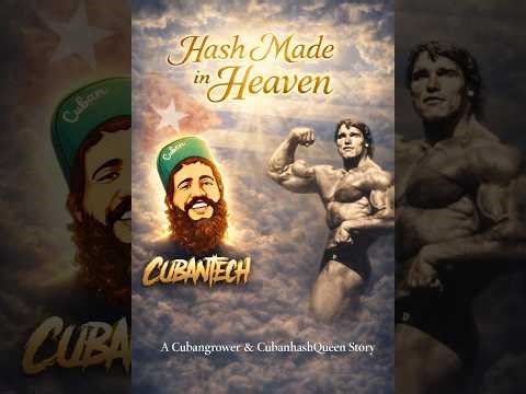 HASH MADE IN HEAVEN: HOW CUBAN GROWER & CUBAN HASH QUEEN CHANGED HASH FOREVER 🌴🏆