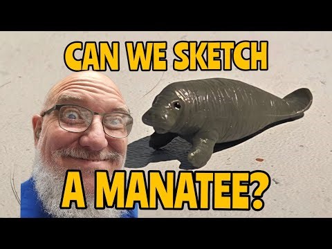 216 Days Strong: Sketching a Manatee
