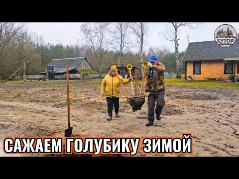 НЕОБЫЧНЫЙ ДЕКАБРЬ: КАК ПОСАДКИ, УБОРКА И МОНТАЖ САНТЕХНИКИ ПЕРЕПЛЕТАЮТСЯ В ОДИН ДЕНЬ.