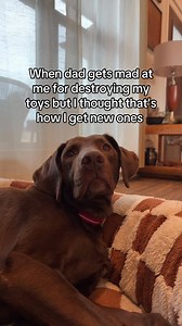 1000 IQ | Nathan Triska