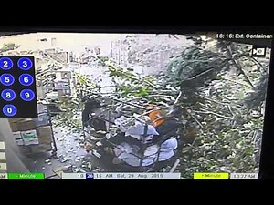 Man Crushed By Tree | Caught on Tape | ABC News