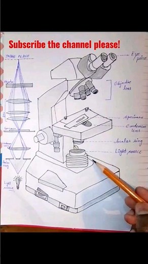 Phase Contrast Microscope Labelled Diagram #ytshorts #viral #viralshorts #shahsdraws #drawing