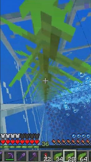 Tropical Fish Farm in Minecraft Survival