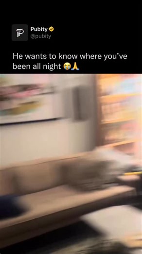 Pubity on Instagram: "😭 Dogs understand a surprising amount of human behavior, especially the parts that show up in our body language, tone of voice, and routines. They’re very good at reading gestures like pointing, tracking where we’re looking, noticing facial expressions, and picking up patterns like “keys in hand means we’re leaving” or “quiet voice means calm down.” They also learn what certain actions lead to, so they can predict what we’ll do next and respond in ways that seem almost hum