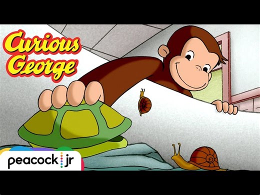 Curious George - George Loves Turtles - Easy Questions