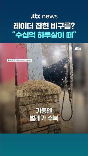 기상청 레이더에 잡힌 비구름? "수십억 하루살이 떼" #JTBC #Shorts