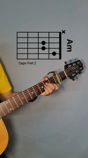 Guitar Chords Tutorial for 'Wake Me Up When September Ends'