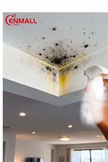 Effective Mold Removal Tips for Your Bathroom