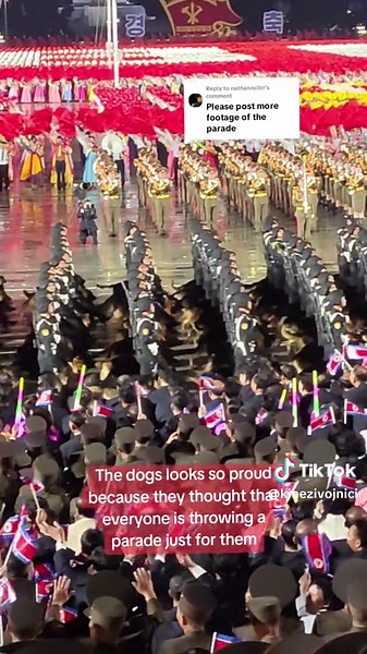 Perros Felices en un Desfile Inesperado