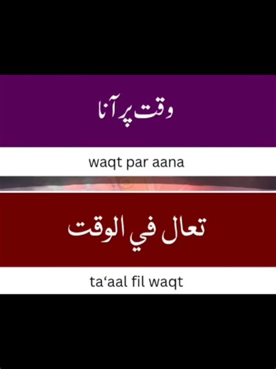 Start Speaking Arabic Today with Easy Lessons