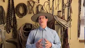 59K views · 1.5K reactions | What To Do When Your Horse Gets Out Of...