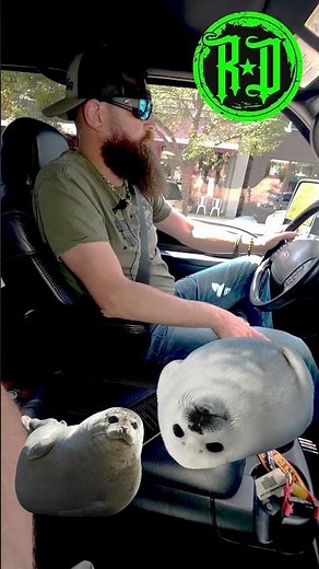 09 Fuel Additives - Diesel questions with new diesel trucks owners! What's the best fuel additive?