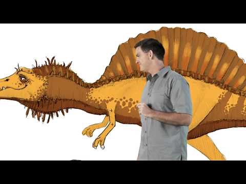 Spinosaurus - Dinosaur Train - The Jim Henson Company