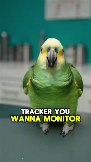 Vet Tries to Scan Parrot Microchip Goes Wrong #parrot #pets #viral