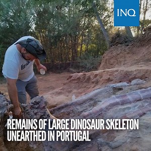 8K views · 452 reactions | WATCH: Paleontologists have been working away in a Portuguese backyard to unearth the remains of what could be the largest dinosaur ever found in Europe. READ: https://newsinfo.inquirer.net/1655235/remains-of-large-dinosaur-skeleton-unearthed-in-portugal | INQUIRER.net | Facebook