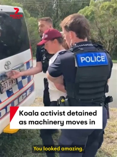 Koala Protest Halts Bayside School Development