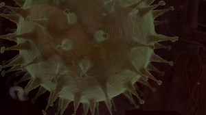 Here are which symptoms to watch for as new COVID variants circulate