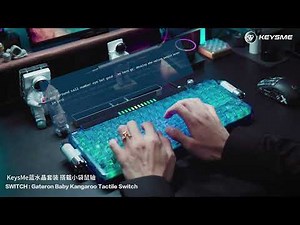 Blue Crystal Baby Kangaroo Keyboard Typing Sound Test