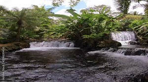 This is GoPro 7 footage shot of one of several natural hot springs at Tabacon in Costa Rica. Tabacón is a hot springs resort in Costa Rica, The springs are heated naturally by the volcano.