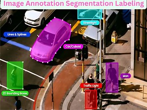 Image Annotation, Custom Data Annotation, Segmentation & Image Labeling