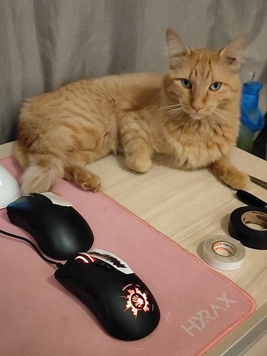 Como Fazer Drag Clique: Dicas e Tutoriais de Minecraft