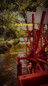 Random Videos on Reels