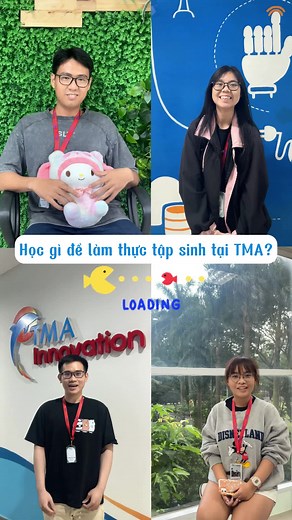 Học gì để làm thực tập sinh tại TMA?