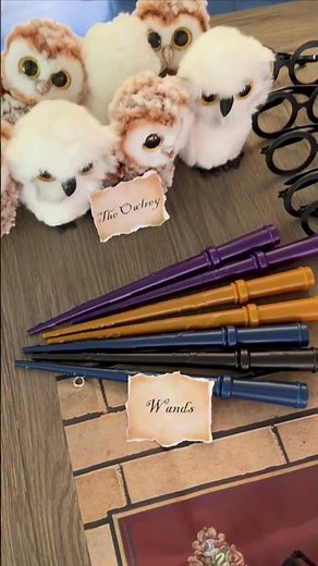 Harry Potter Birthday Party Ideas 🪄