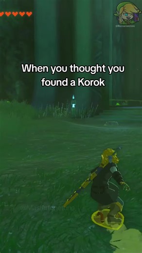 Like there's no way this random ahh rock was a rupee 😭 #zelda #totk #tearsofthekingdom #thelegendofzelda #thelegendofzeldatearsofthekingdom Do you like searching for Koroks?