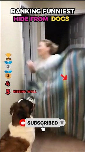Ranking The Funniest Dog Hide & Seek Pranks 😂🐕 #funny #dog