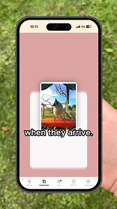 43K views · 127 reactions | Love watching birds in your backyard?  With Bird Buddy, you can do more than just watch!  Get real-time alerts when new birds visit  Identify 1000+ species with ease  Capture stunning photos & videos Ready to bring nature closer? Explore Bird Buddy now ➡️ https://mybirdbuddy.com/ | Birdbuddy | Facebook