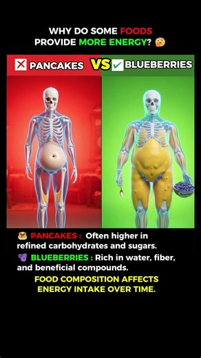 Pancakes vs Blueberries: What's the Difference? 🤔