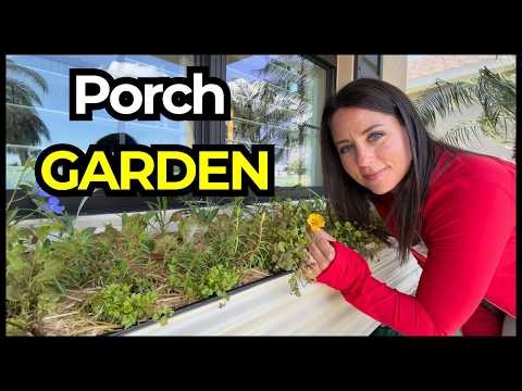 Turning My Front Porch Into a Garden Space