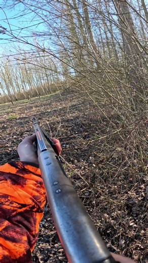 Loupé mémorable !!😂😂 #hunting #chasse #passion #chevreuil #nature