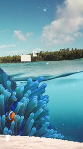 The MSC Foundation is an expression of MSC Cruises' sustainability commitment and its mission is to take immediate action that protects and nurtures our planet and its people. This Earth Day, we take a look back at the work done… recognising we’ve only just begun. 💙 Learn more about the MSC Foundation’s work and mission. | MSC Cruises