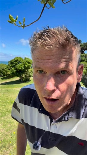 A beautiful morning at the new Paekākāriki tool library. | Tim Costley MP