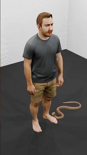 Eastern Brown Snake Facts | Australia’s Deadliest Snake