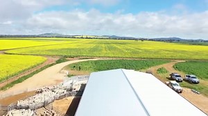 Discover how our quality sheep handling systems can streamline your operations, increase efficiency and save you time today ⏰ 👉Head to our website to learn more: https://proway.com.au/sheep-handling | ProWay Livestock Equipment