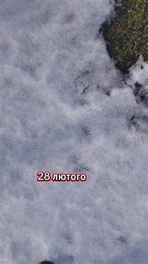 Goodbye Winter, Hello Spring!