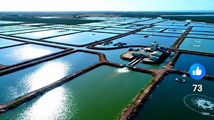 21 reactions · 4 comments | ¿Cansado de llevar el inventario de...