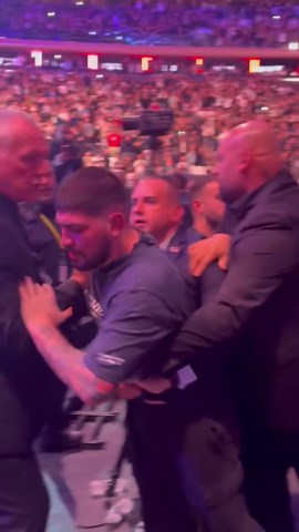 All Out Brawl At UFC 231 Caused By Dillon Dannis - No Arrest Made