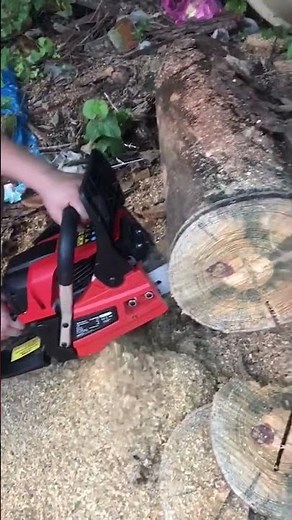 Démonstration de la Tronçonneuse thermique d'élagage GeoTech GMS 45-45 en action