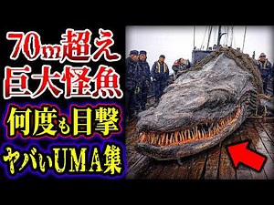 【ゆっくり解説】７０m超えの巨大怪魚...３つの頭を持つ巨大ドラゴン...何度も目撃されたヤバい未確認生物集【総集編】