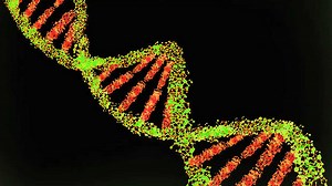 Team led by Indian-origin scientist finds way to better predict disease risk from DNA codes