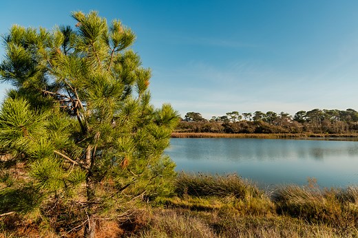 Anglet - Ville nature et océan entre plages forêts et art de vivre - Villes et Villages à Anglet - Guide du Pays Basque