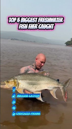 Top 5 Biggest Freshwater Fish Ever Caught! 🐟🎣