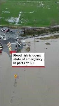 Flood risk triggers state of emergency in parts of B.C.