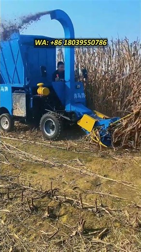 60HP Silage Harvester | 3 Acres/Hour High Efficiency For Farms