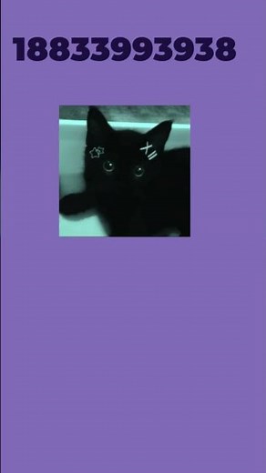 Cute black cat decals for roblox #roblox #royalehigh #decals #cats